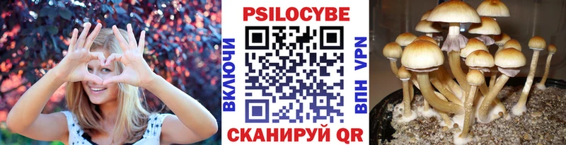 Галлюциногенные грибы мухоморы  Бавлы 